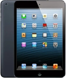 [OUTLET] Apple iPad Mini 32GB Wifi Black Grade AB