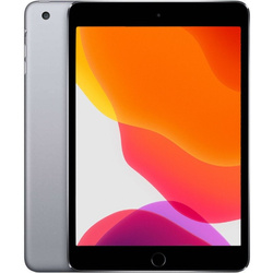 [OUTLET] Apple iPad Mini 4 32GB Wifi Szary Grade BC